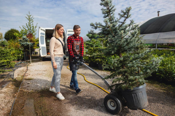 Best Palm Tree Trimming  in Hawkins, TX